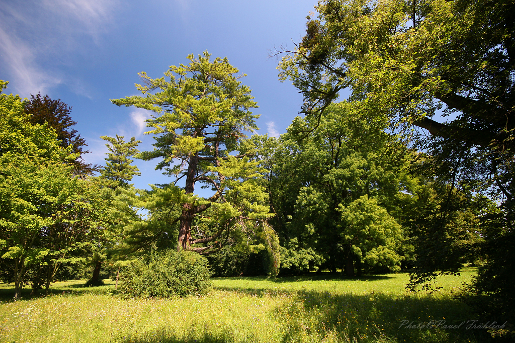 Zamecky park 06, Lednice.jpg